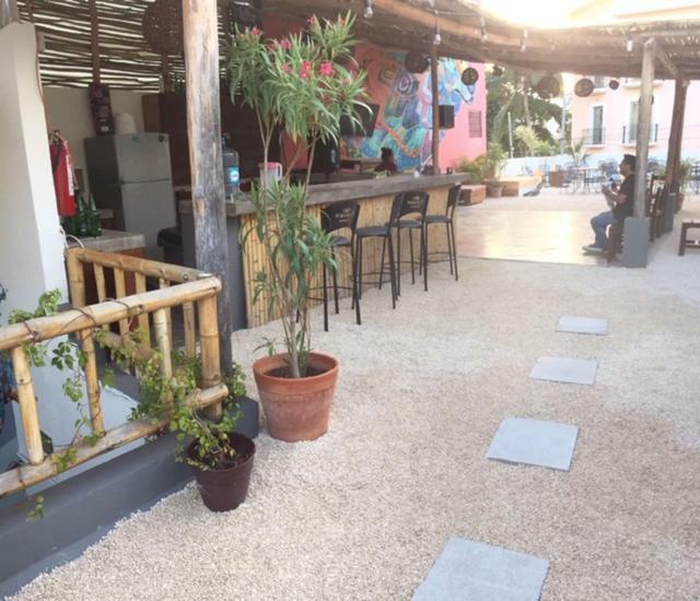Wabi Hostel Πλάγια Ντελ Κάρμεν Εξωτερικό φωτογραφία