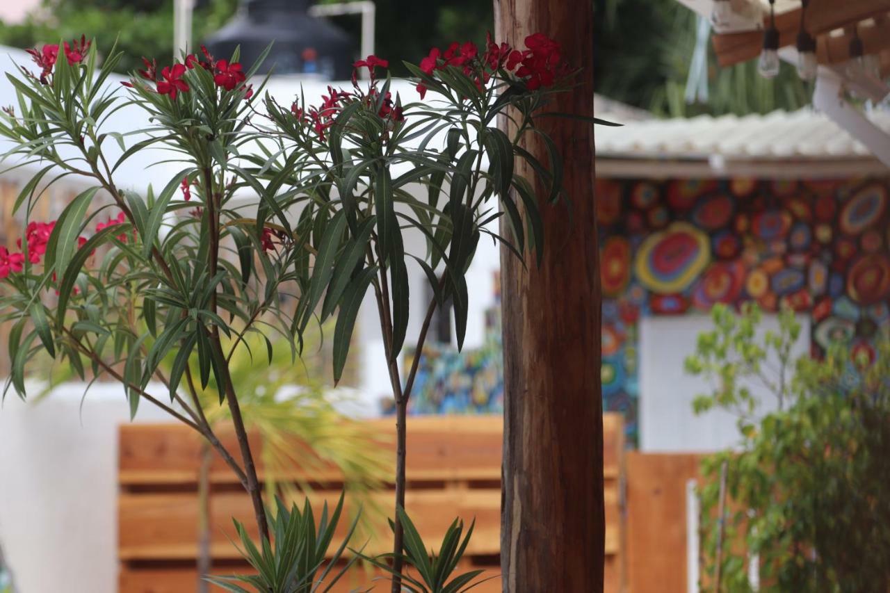 Wabi Hostel Πλάγια Ντελ Κάρμεν Εξωτερικό φωτογραφία